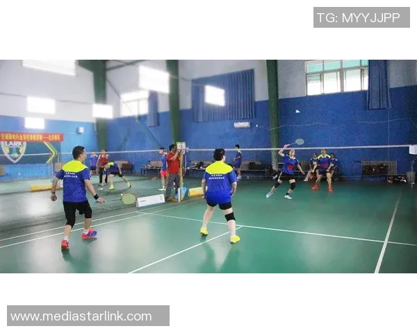 羽毛球国际赛事奖金及排名影响解读