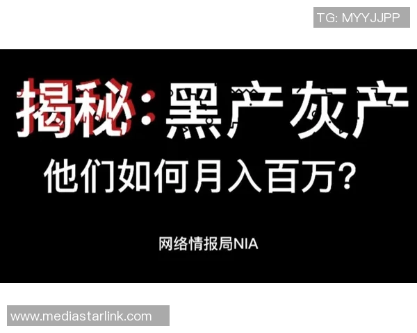 球迷假票事件调查：深度剖析假票背后的黑色产业链及防范对策